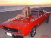 Bitchin' Camaro Babes Slideshow!!!